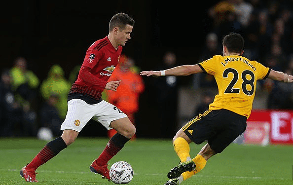 昙花一现的 昙花一现的